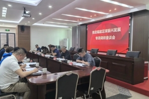 AG体育官网-多部门联合调研！推进福建足球振兴发展