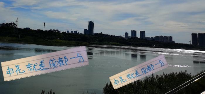 AG官方网站-球迷+名宿一顿操作猛如虎！ 一看积分榜 申花只是差成都1分而已